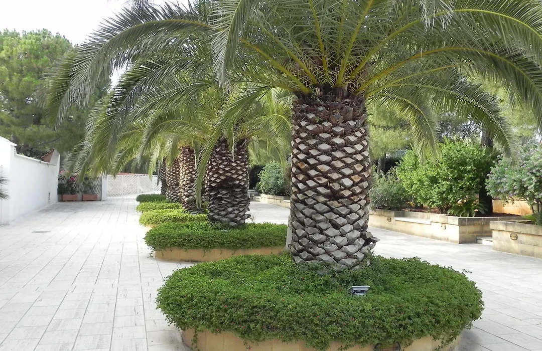 Hotel Vecchio Mulino-1